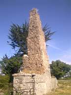 bellanamullia - 1363.jpg